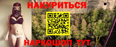 прущие крисы Кандалакша