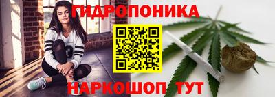 прущие крисы Кандалакша